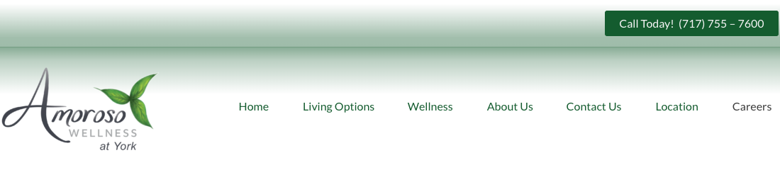 Amoroso Wellness at York